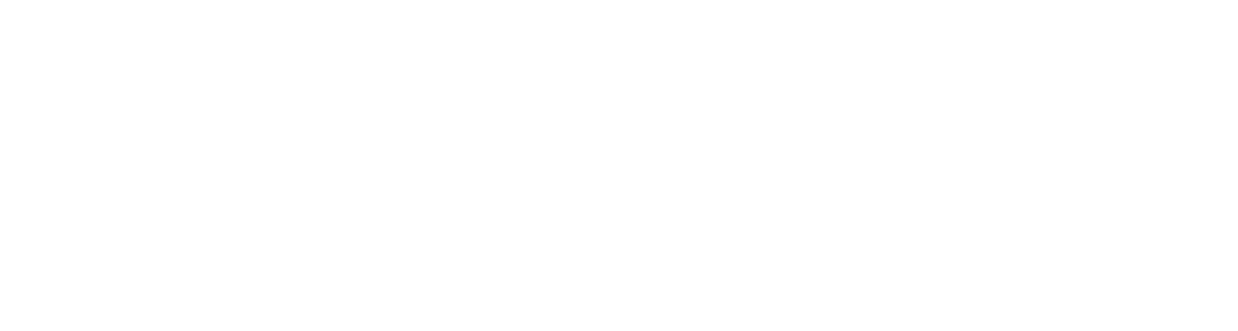 DataTech Solutions